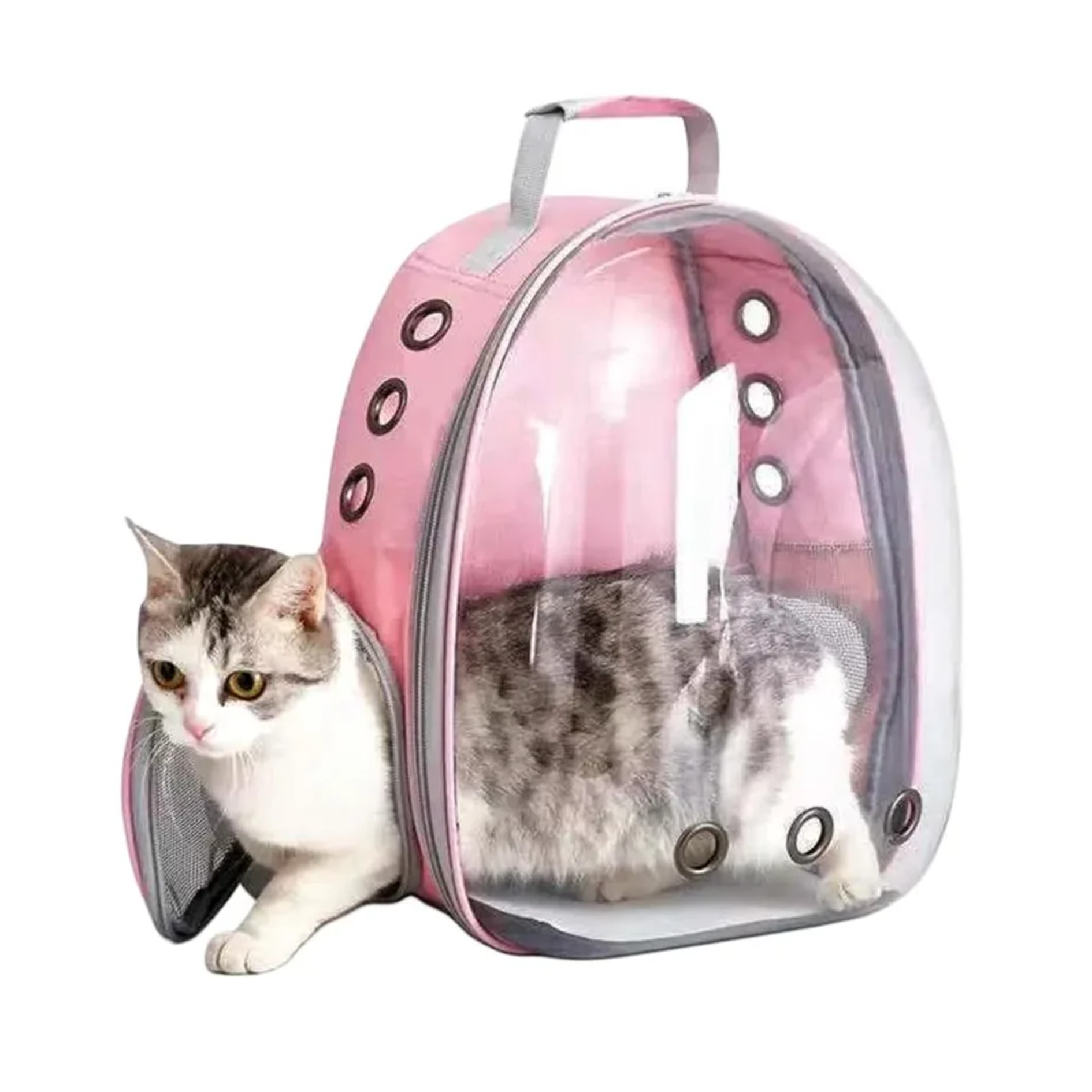 Pink pet carrier with a cat inside on a white background