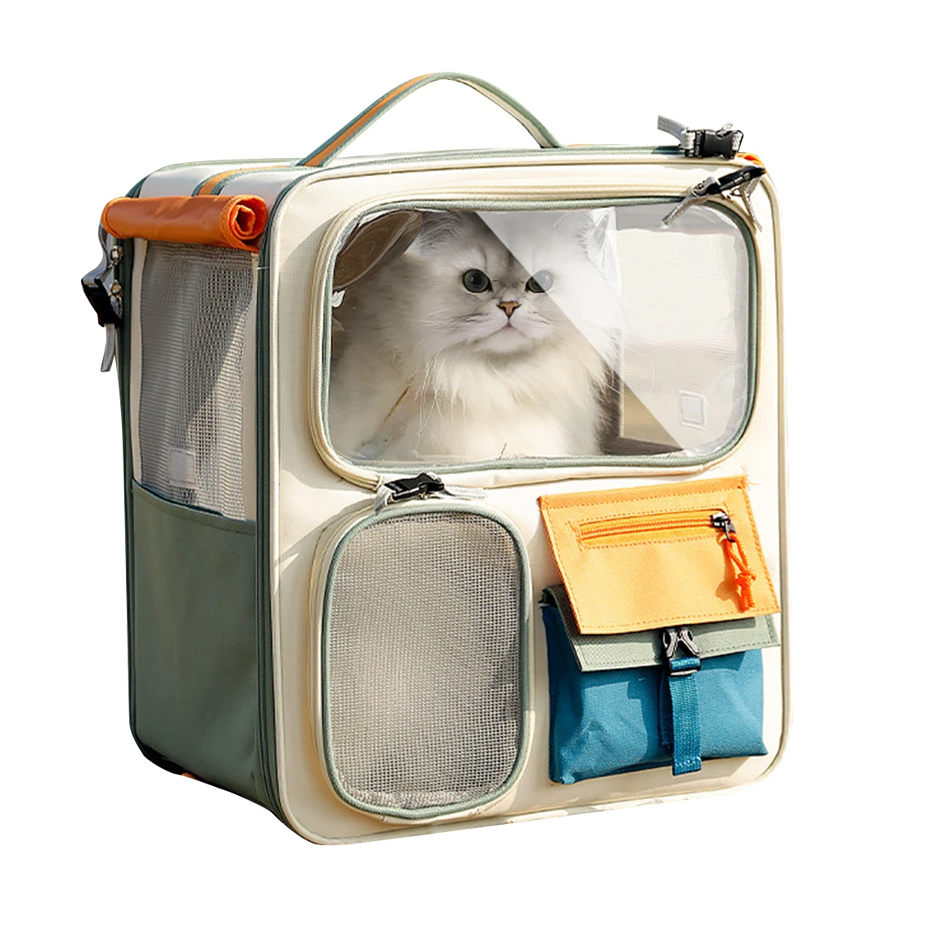 Pet carrier with a cat peeking out on a white background