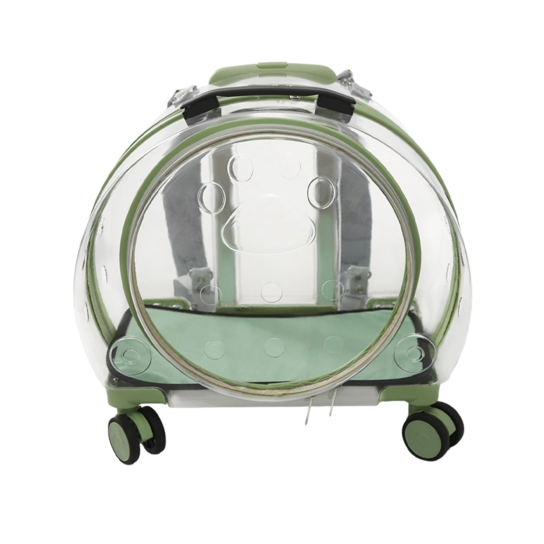 clear suitcase covers with green interior accents on a white background