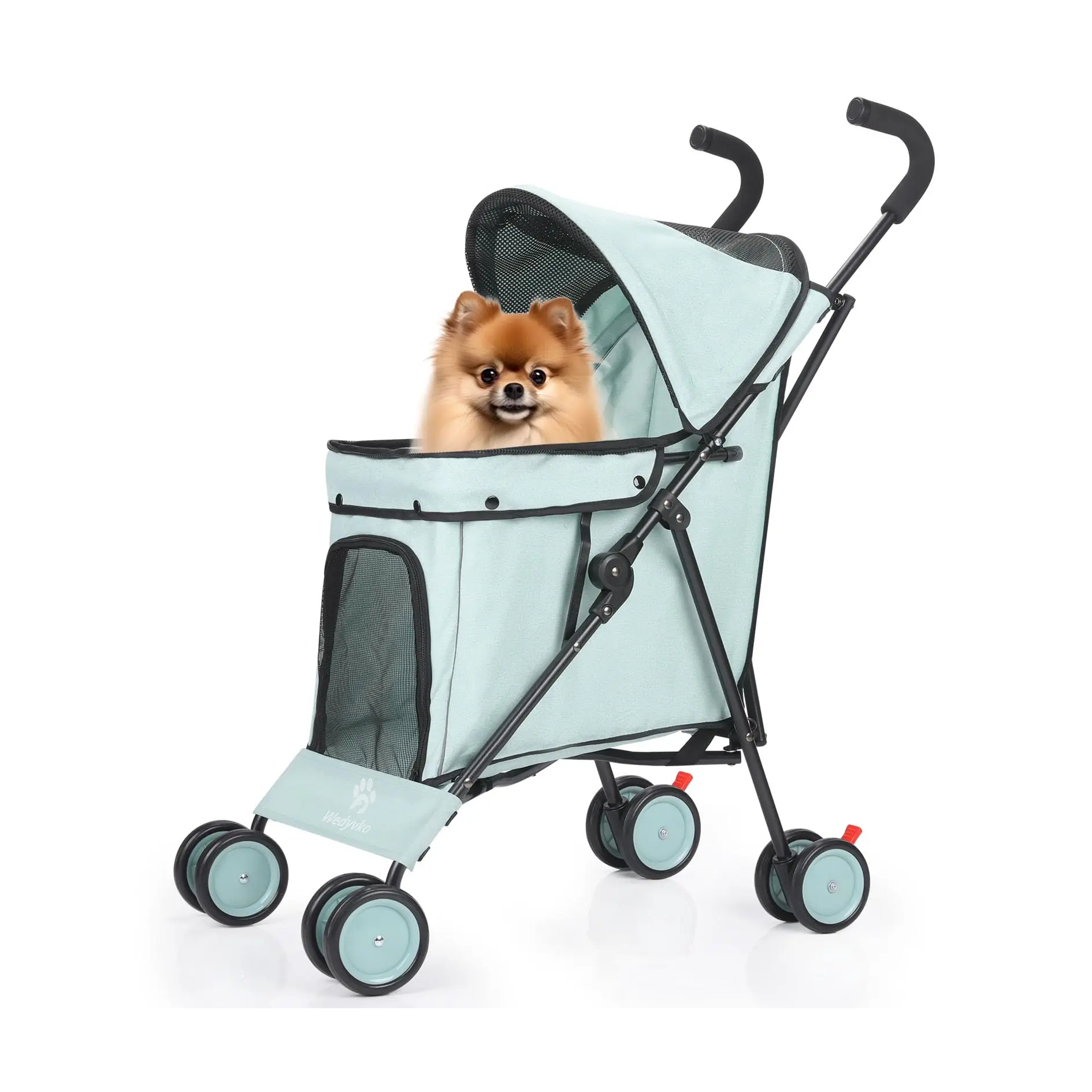 Pet stroller with a small dog inside on a white background