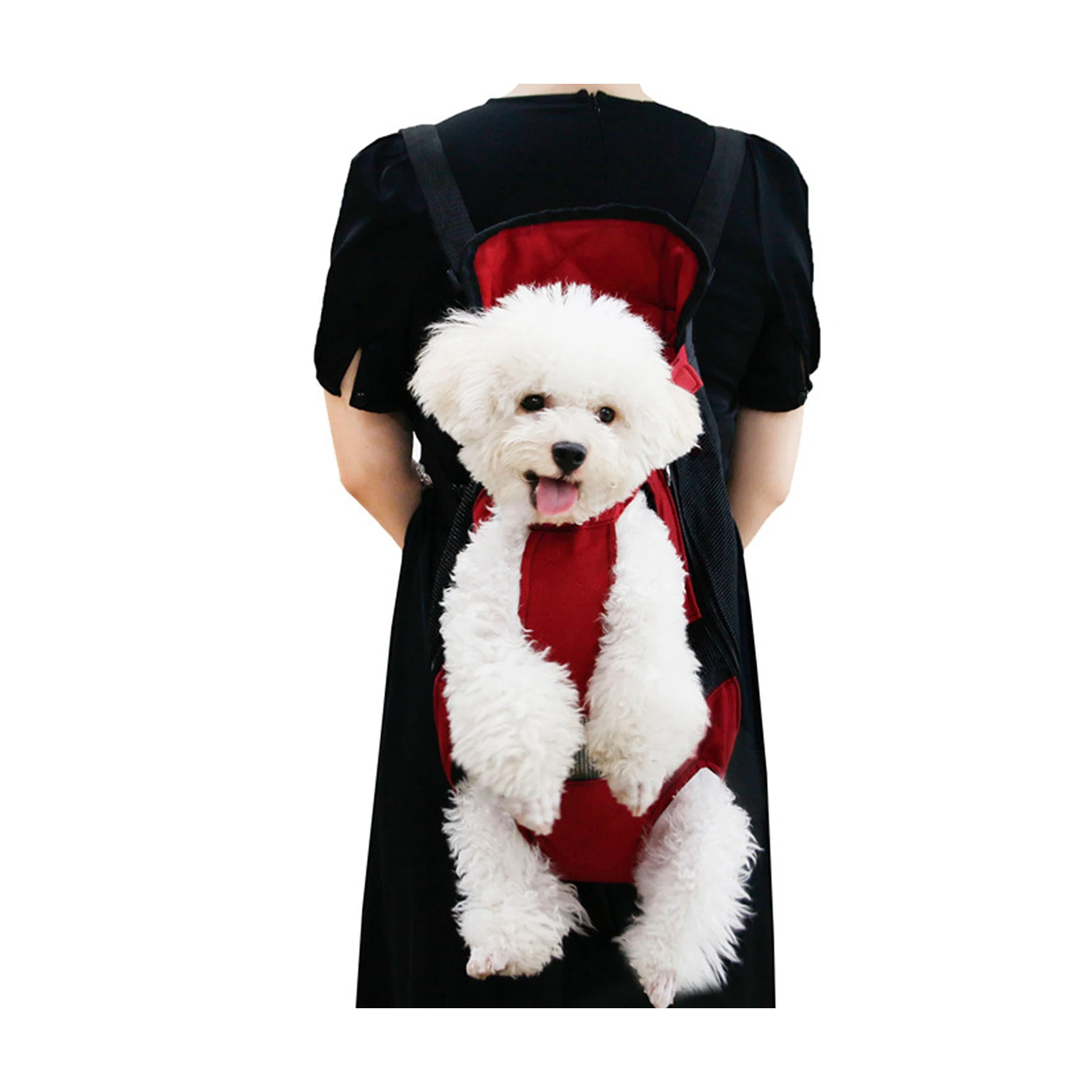 Red pet carrier with dog on a white background