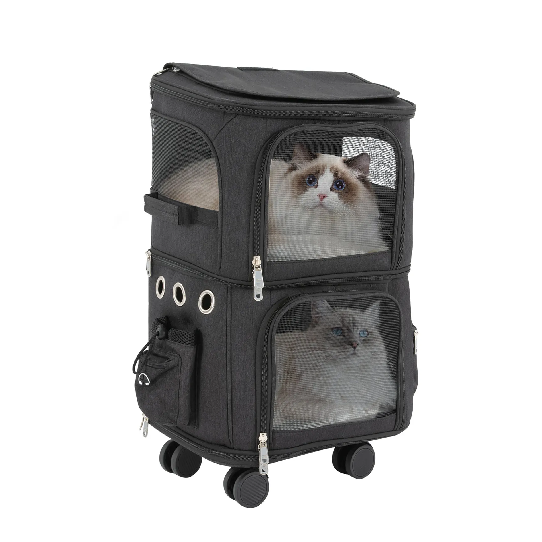 Black suitcase with two cats on a white background