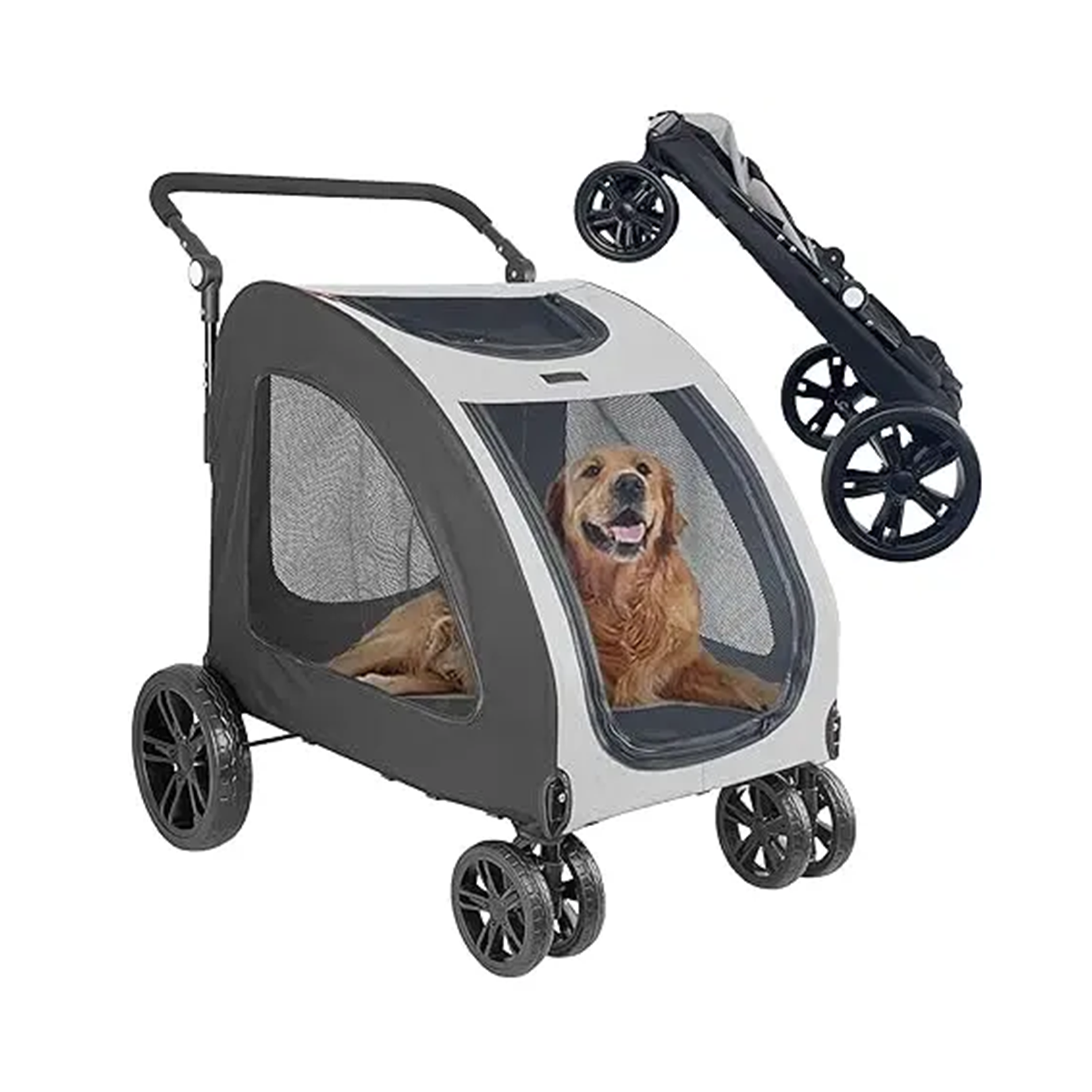 Pet stroller with a dog inside on a white background