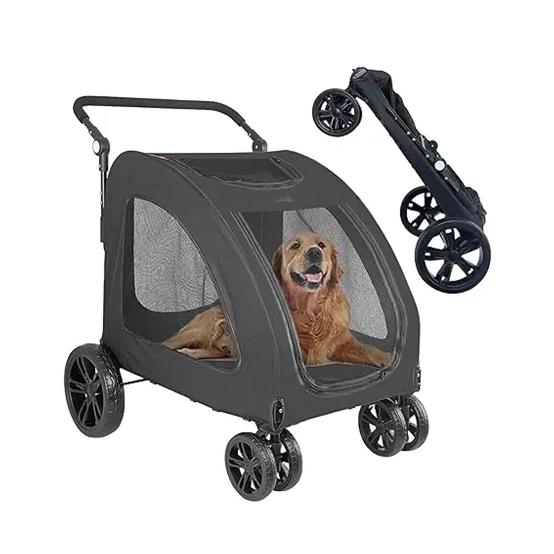 Pet stroller with a dog inside on a white background