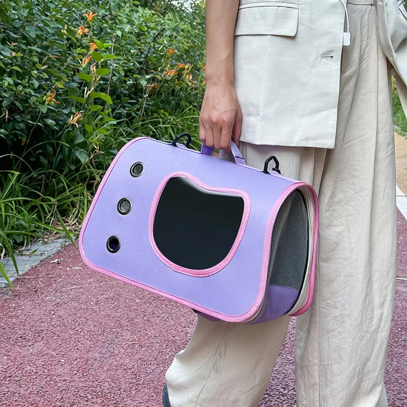 Person holding a purple pet carrier with pink accents outdoors.