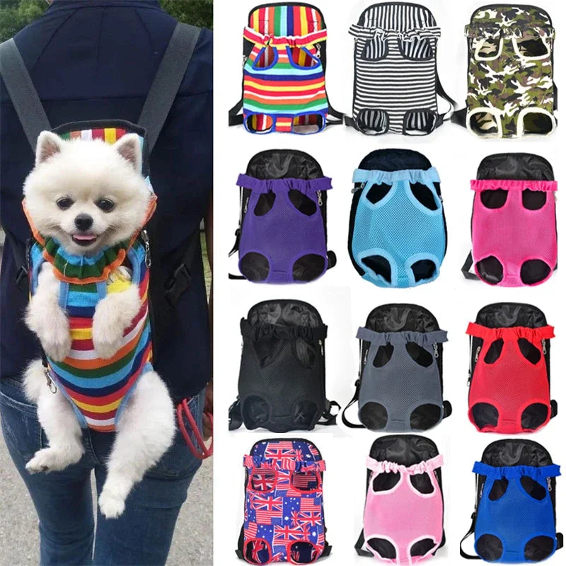 Dog in a colorful backpack with various other backpacks displayed below.