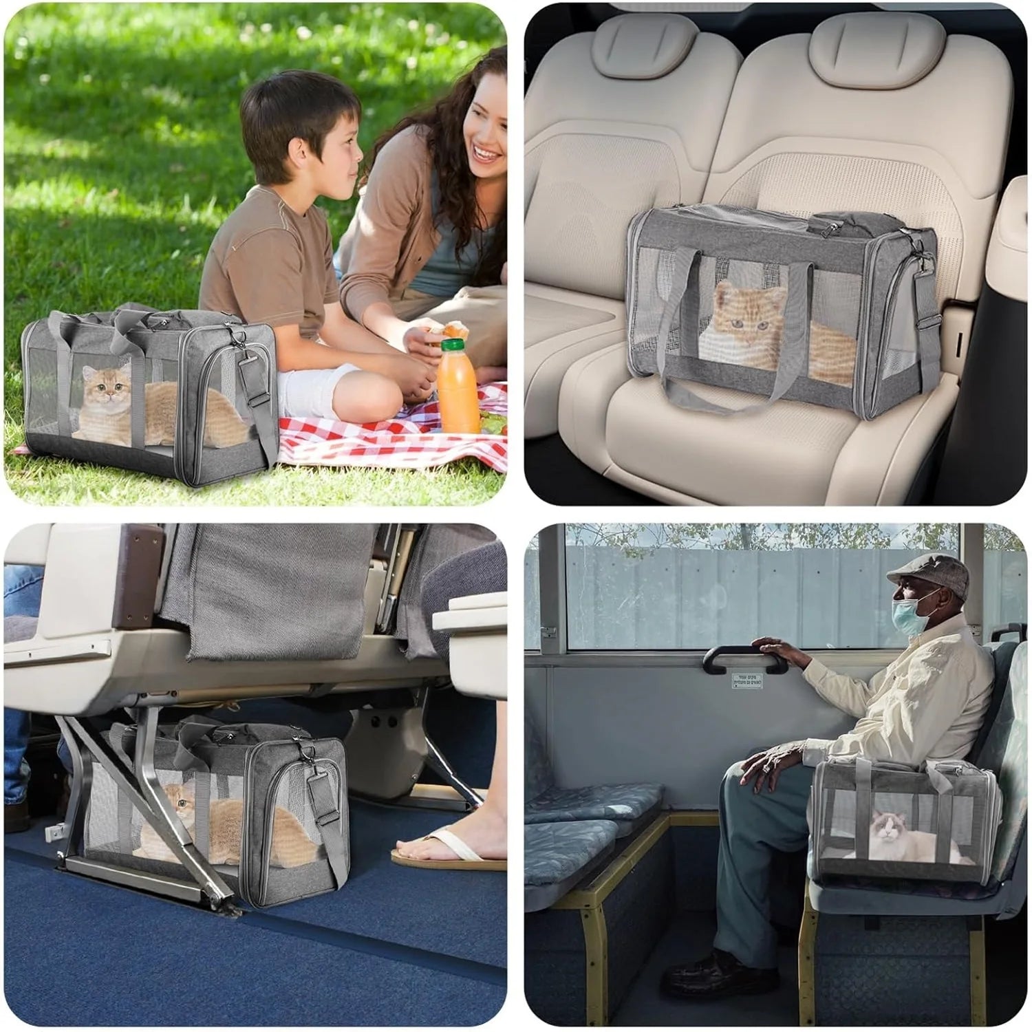 Collage of a pet carrier used outdoors, in a car, on an airplane, and in a train.