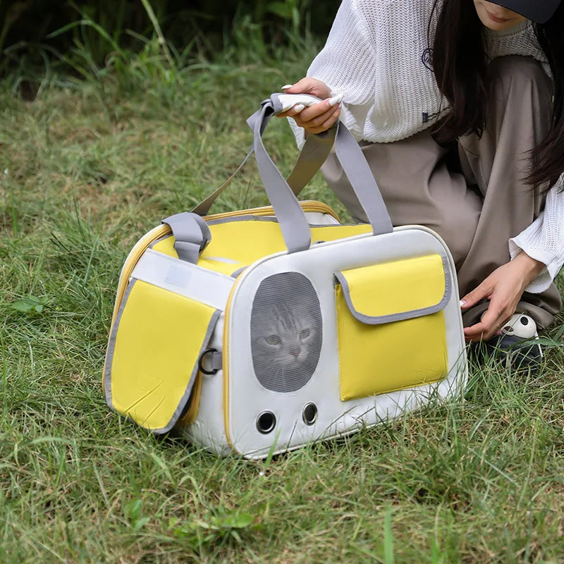 Person holding a yellow and white pet carrier with a cat peeking out on a grassy ground.
