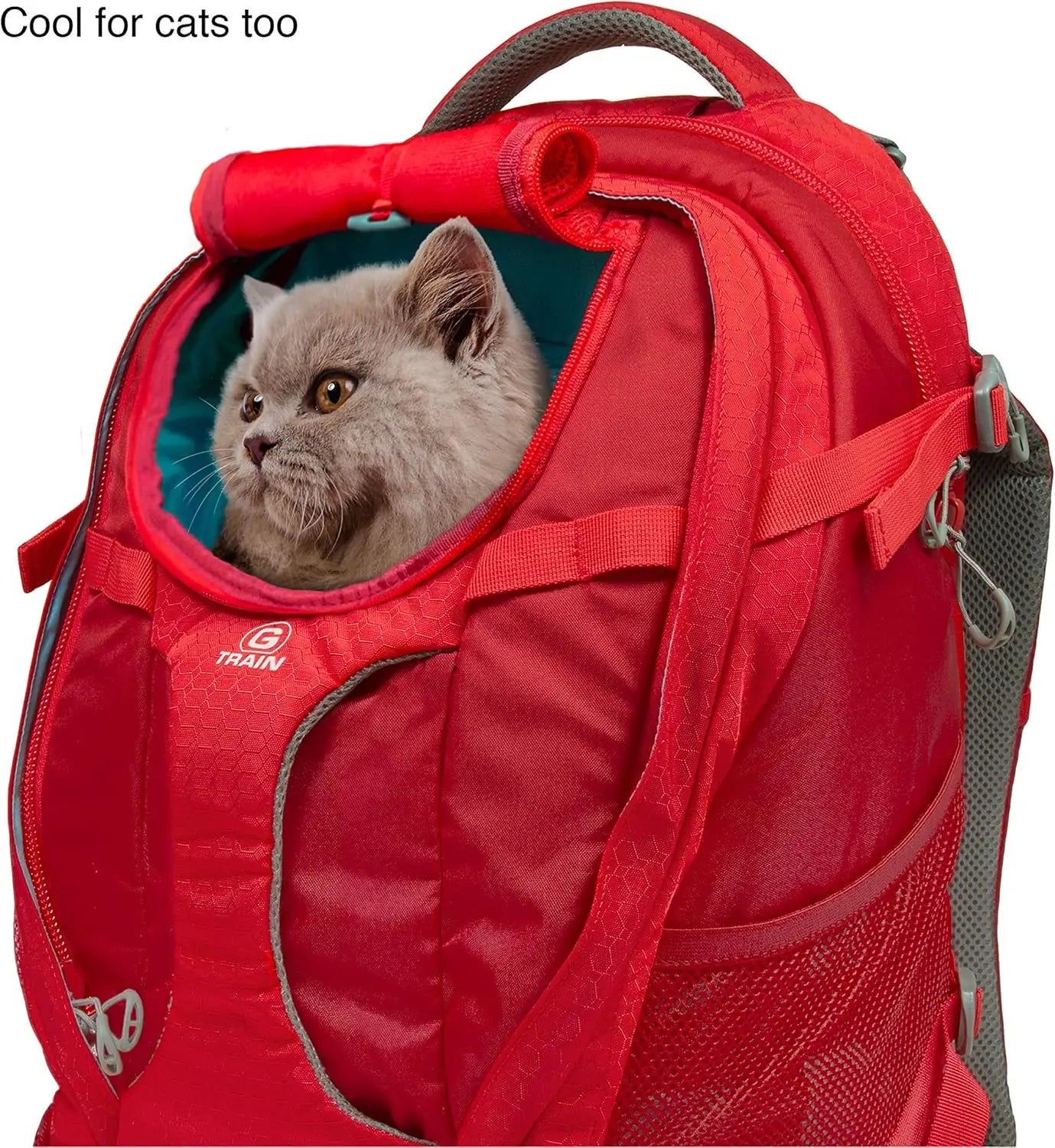 Red backpack with a cat peeking out on a white background