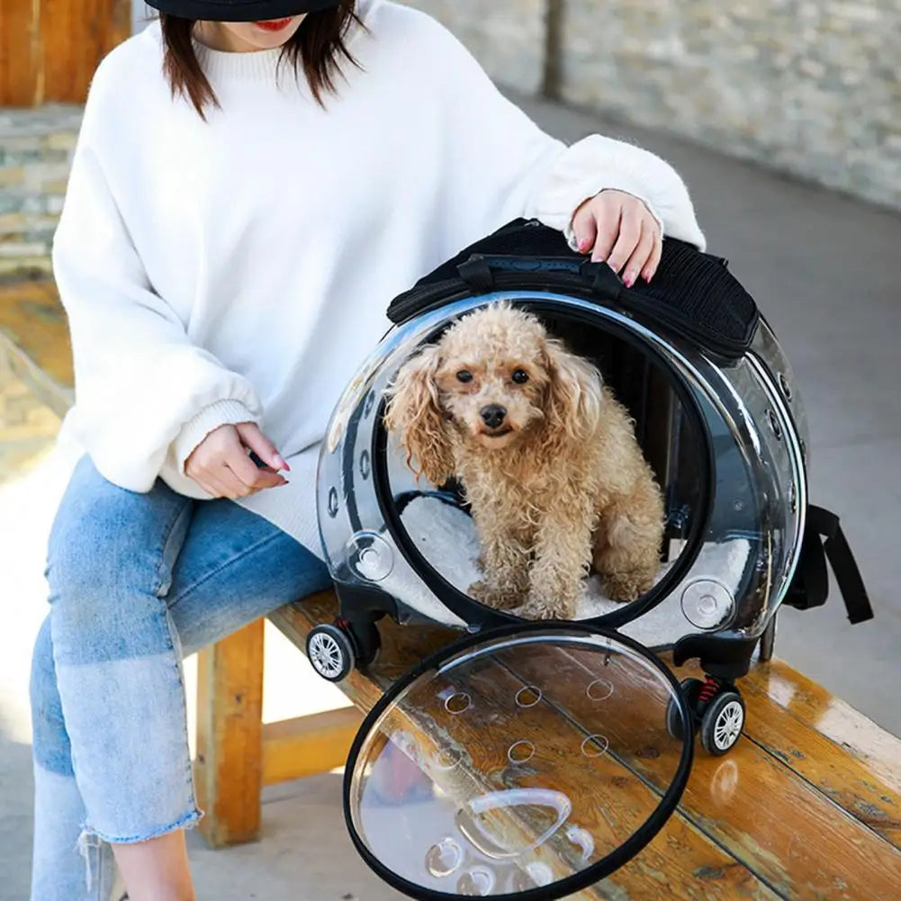 Person holding a transparent pet carrier with a small dog inside, sitting on a bench.