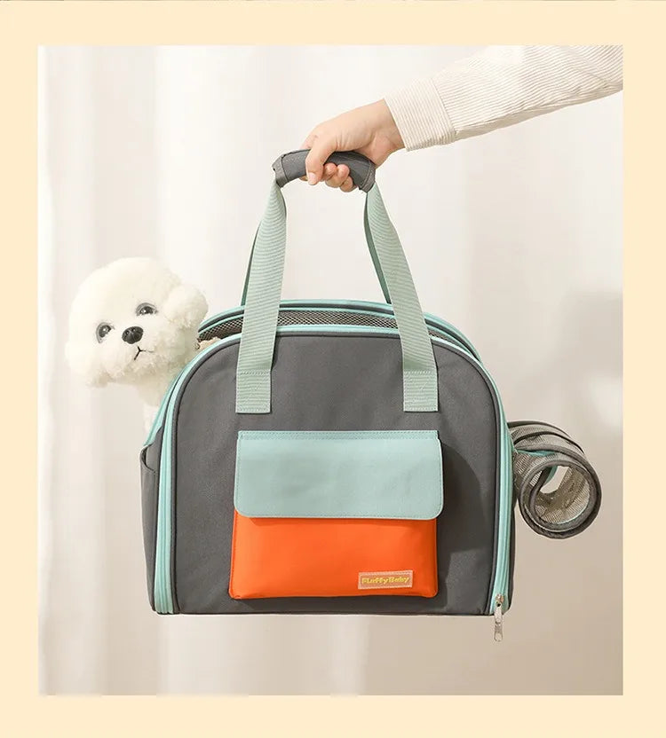 Pet carrier with a dog peeking out, held by a hand against a light background
