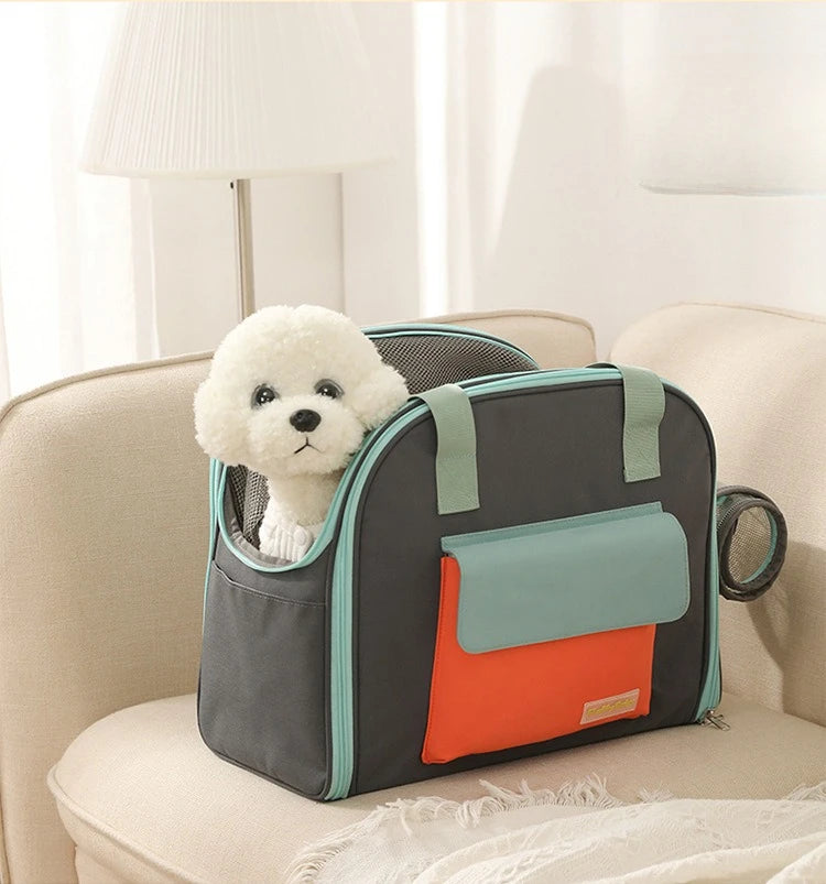 Pet carrier with a small white dog peeking out, placed on a beige couch.