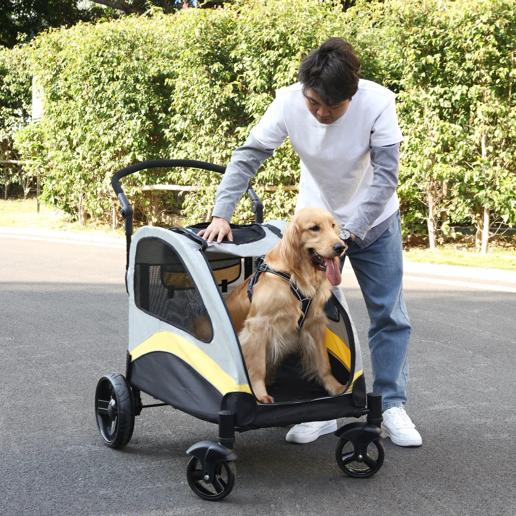 Person pushing a pet stroller with a dog in it on a road.