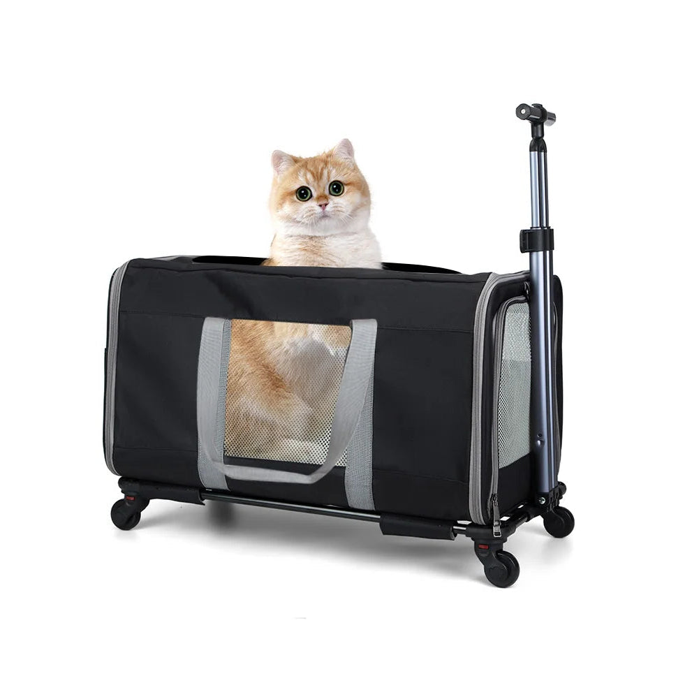 Cat inside a black pet travel crate with wheels on a white background