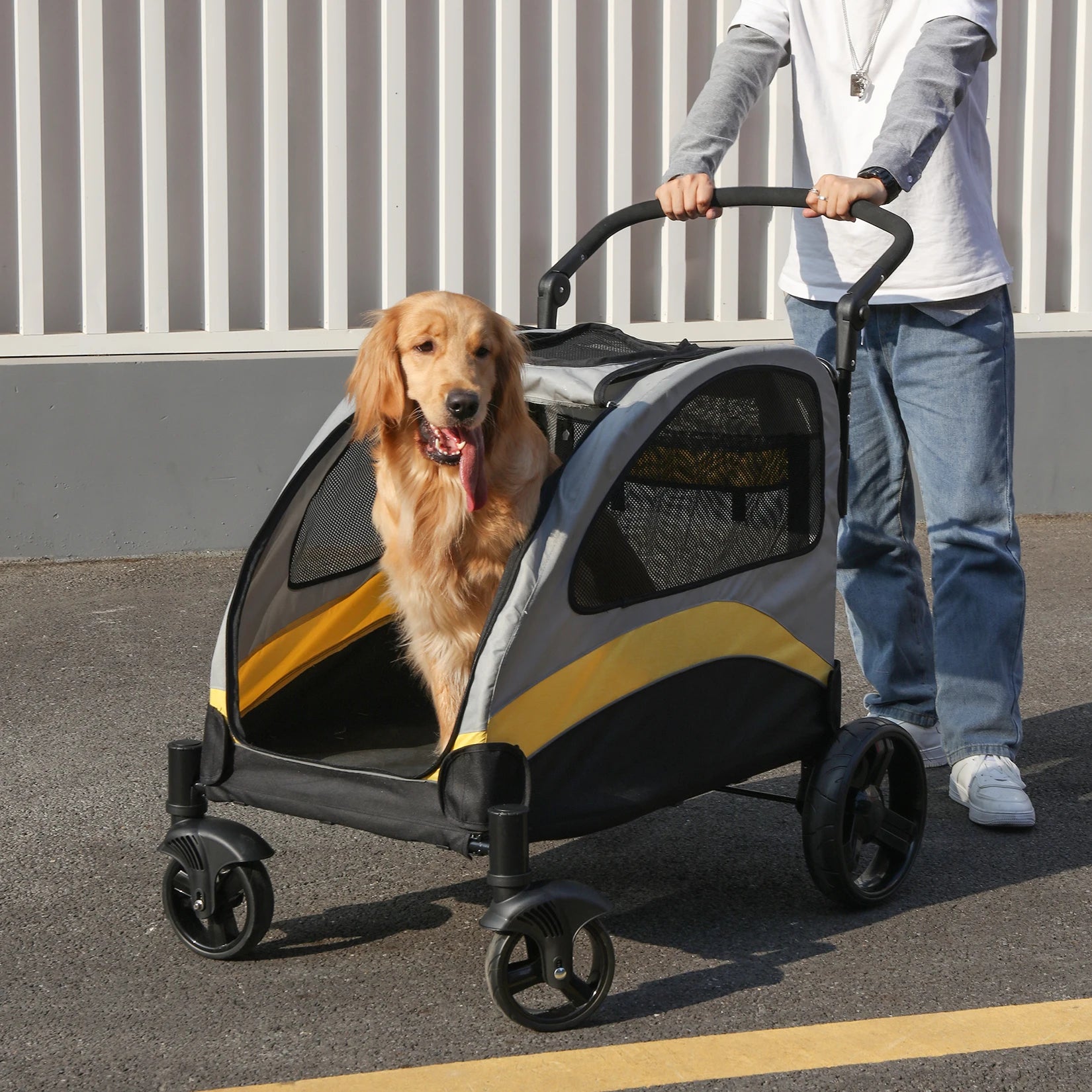 Dog in a pet stroller being pushed by a person on a pavement.