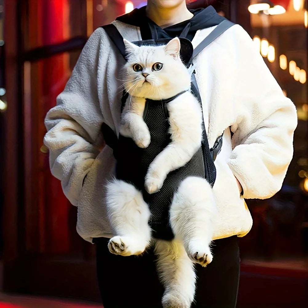 Person carrying a white cat in a black backpack with a blurred indoor background