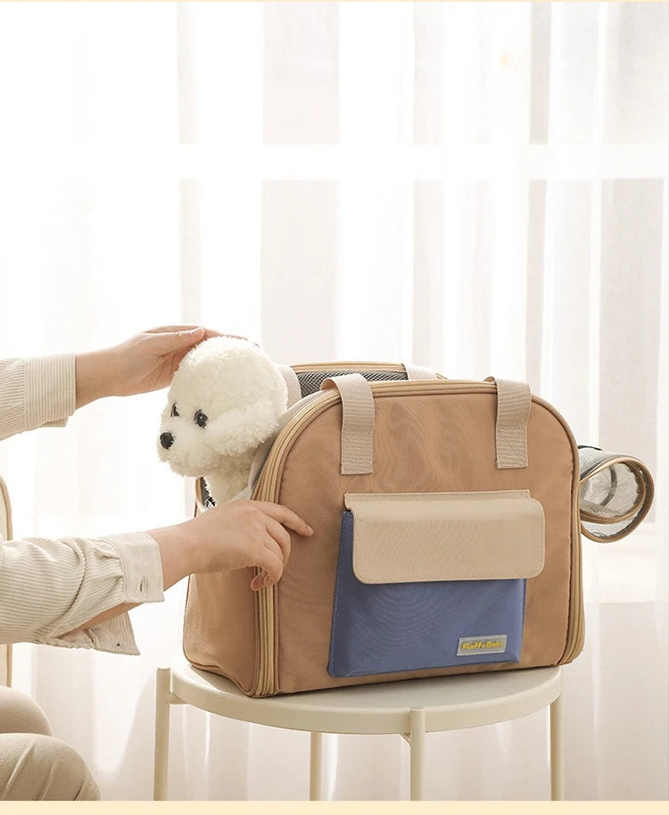 Person placing a small white dog into a beige pet carrier with a blue interior.
