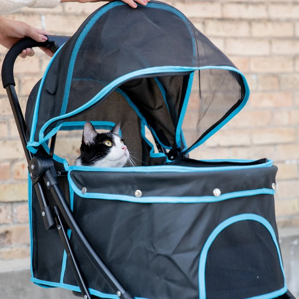 Pet stroller with a cat peeking out, held by a person against a brick wall.