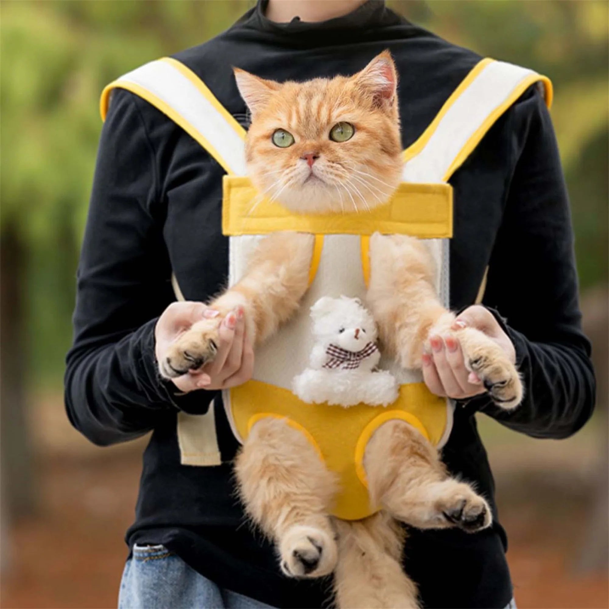Cat in a yellow outfit with a teddy bear plushie, held by a person outdoors.