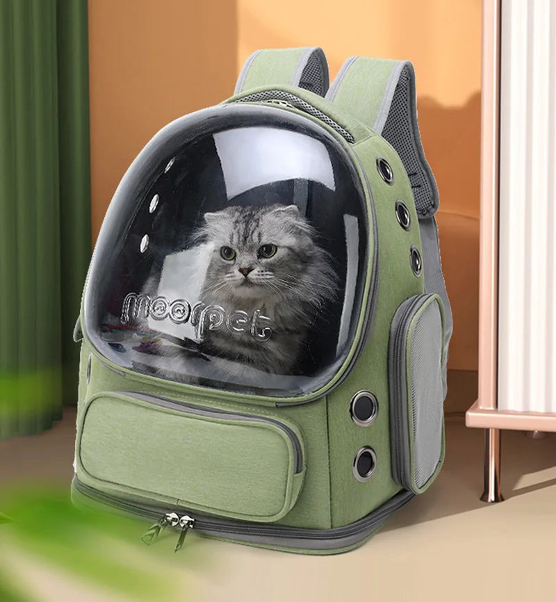 Green pet backpack with a cat inside, featuring the brand 'moopet'.