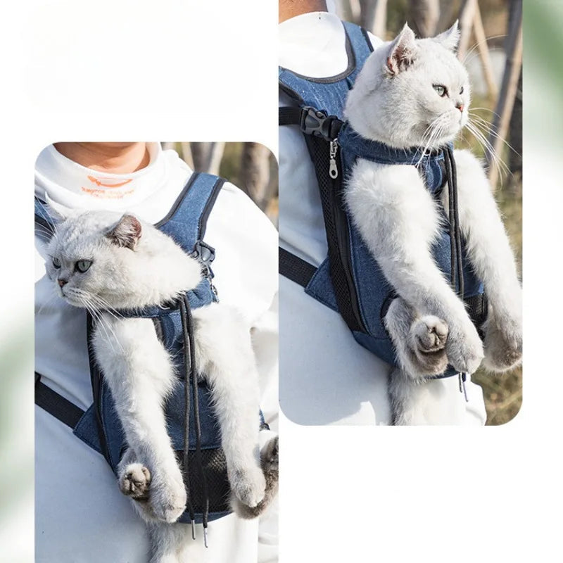 White cat in a blue harness worn by a person, with text 'FOR ALL SEASONS' on a blurred natural background.