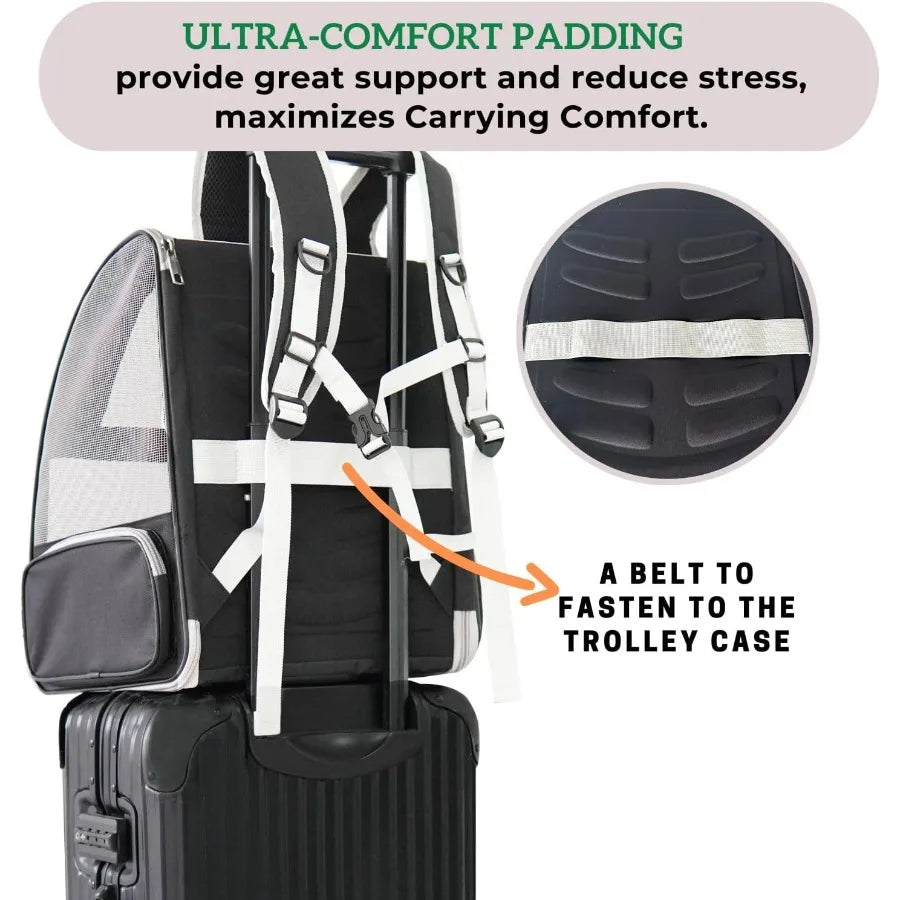 Backpack with ultra-comfort padding and a belt to fasten to a trolley case, on a white background.