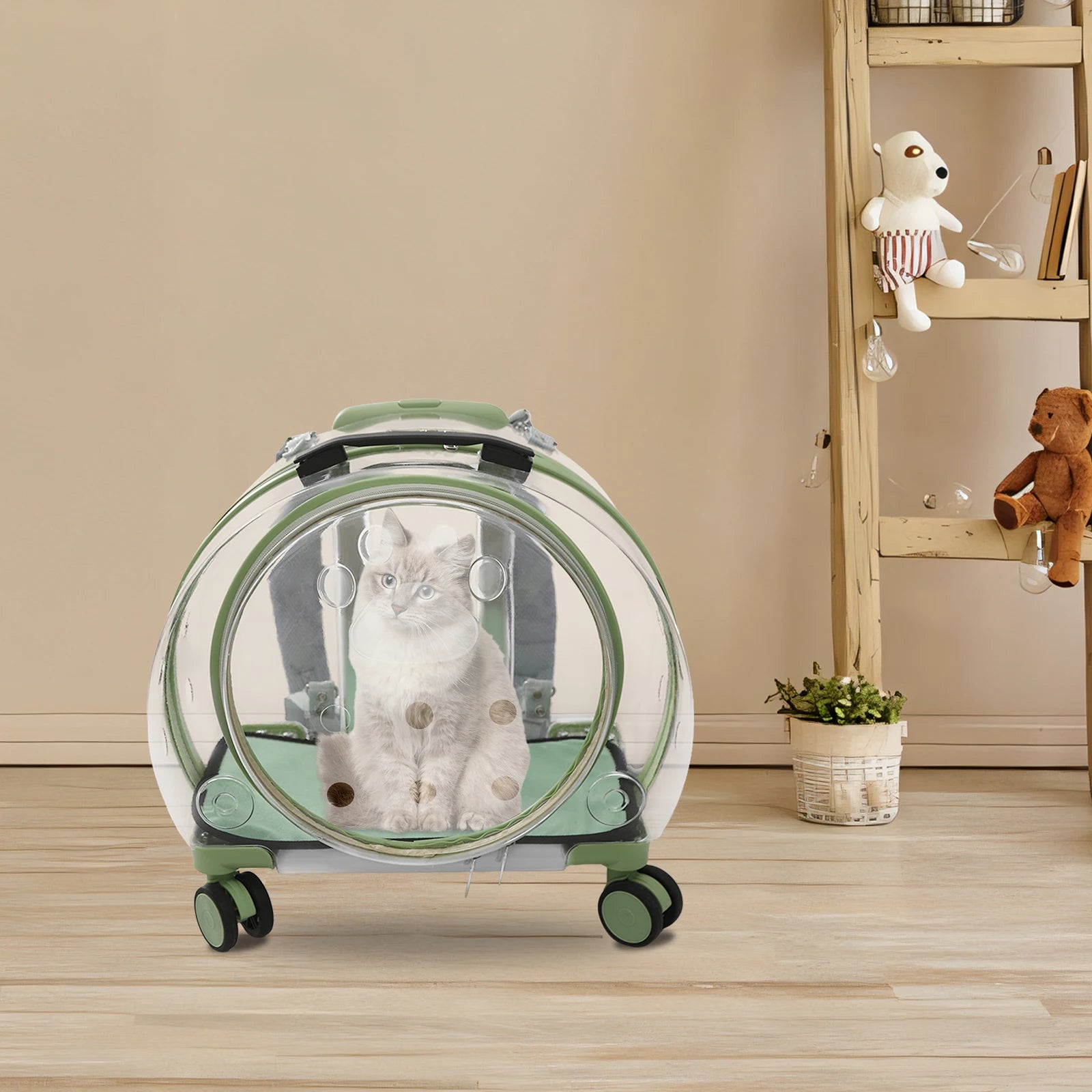 Clear pet carrier with a cat inside, placed on a wooden floor with a beige wall and wooden shelf in the background.