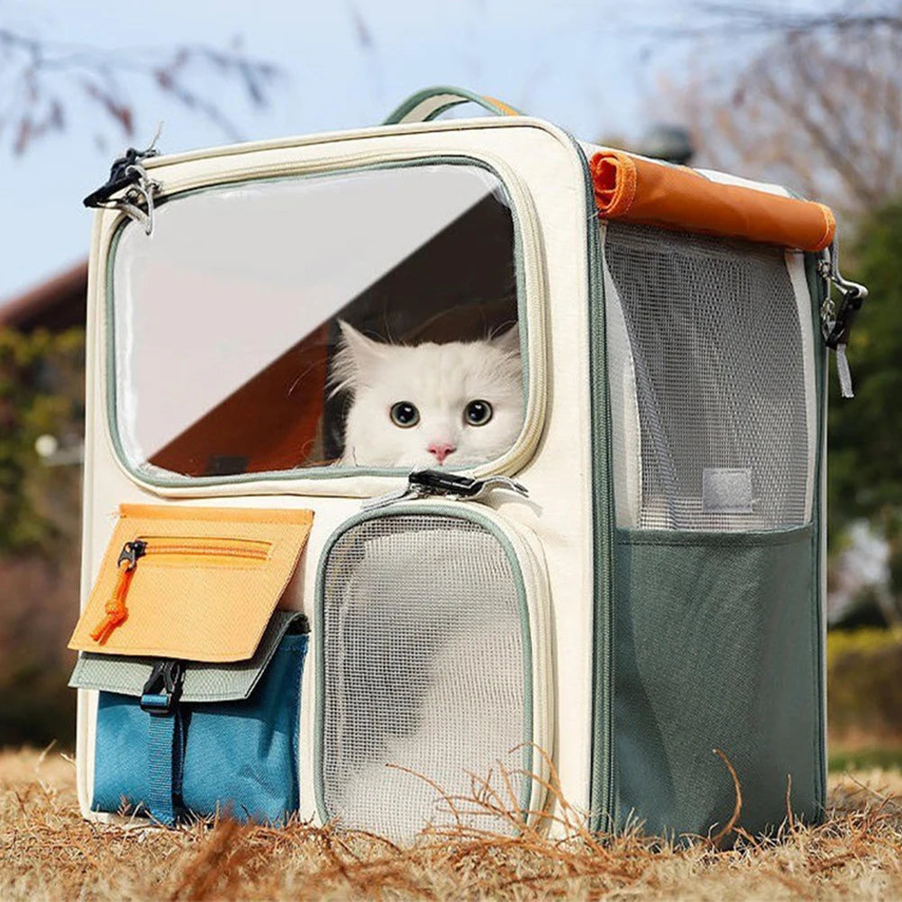 White cat peeking out from a pet carrier outdoors