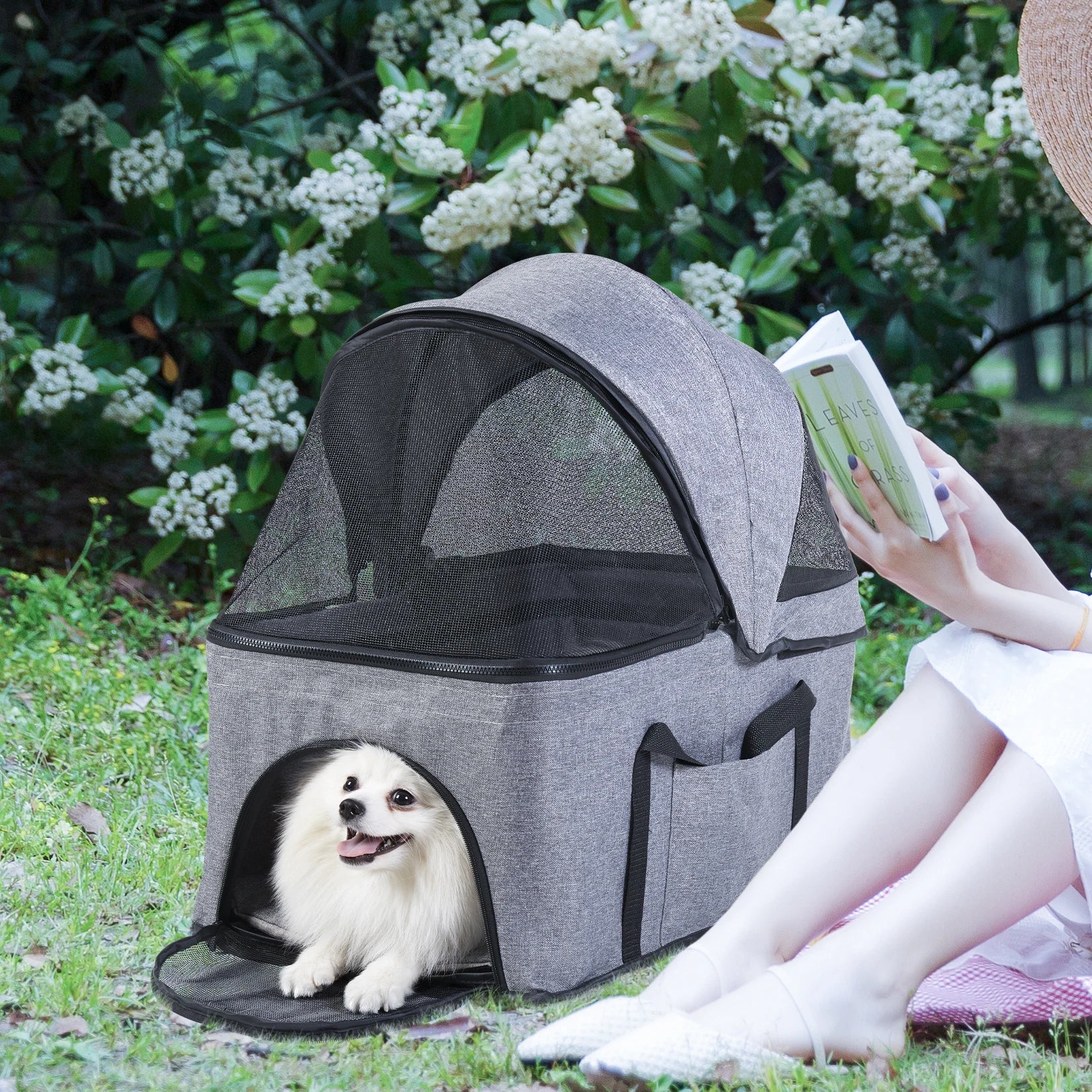 Dog in a gray pet carrier with a person reading a book outdoors.