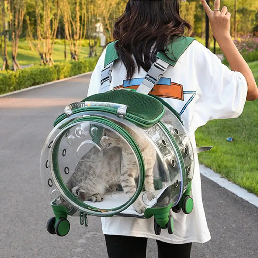Person carrying a transparent bubble backpack with a cat inside, outdoors on a path.