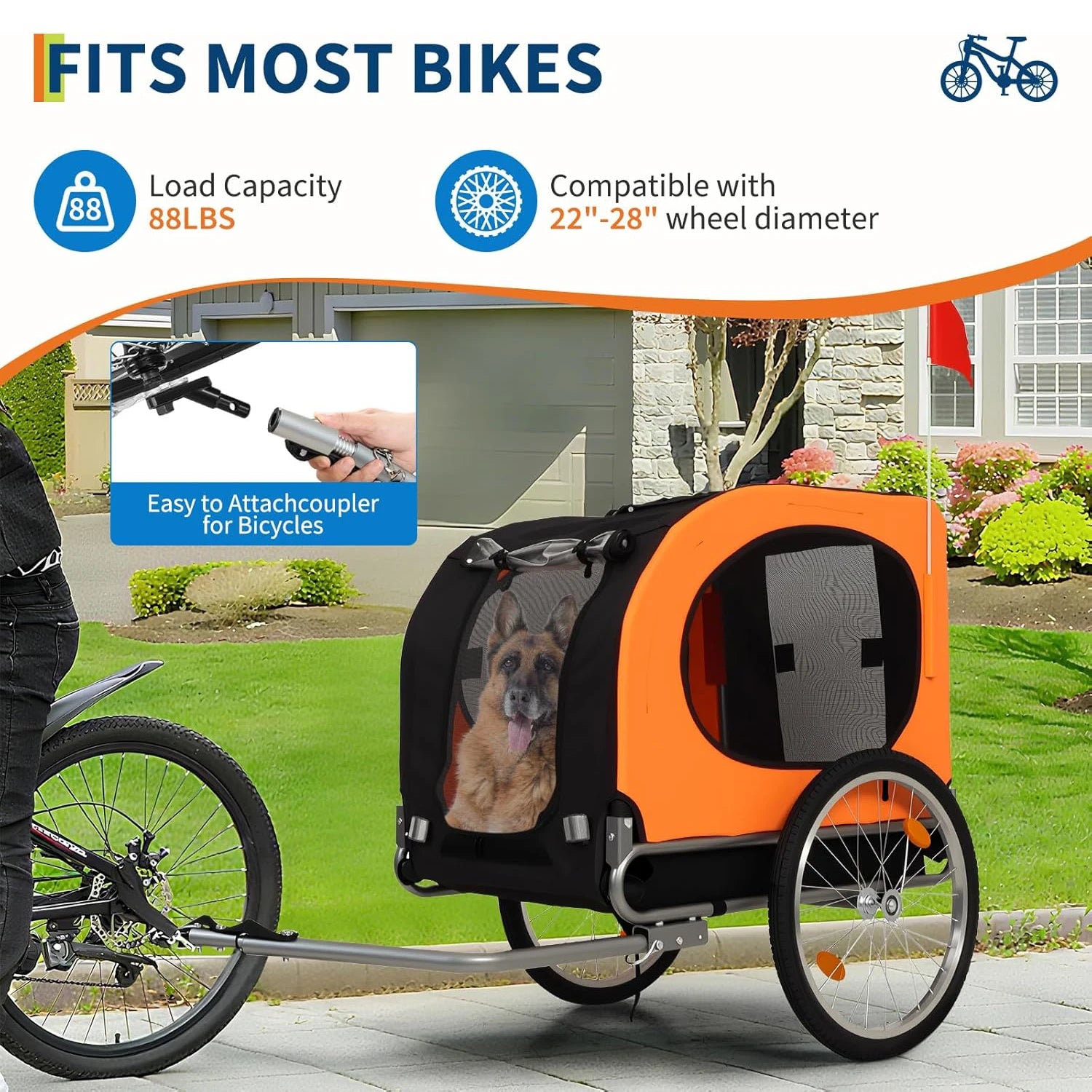 Pet bike trailer with a dog inside, attached to a bicycle, on a sidewalk.