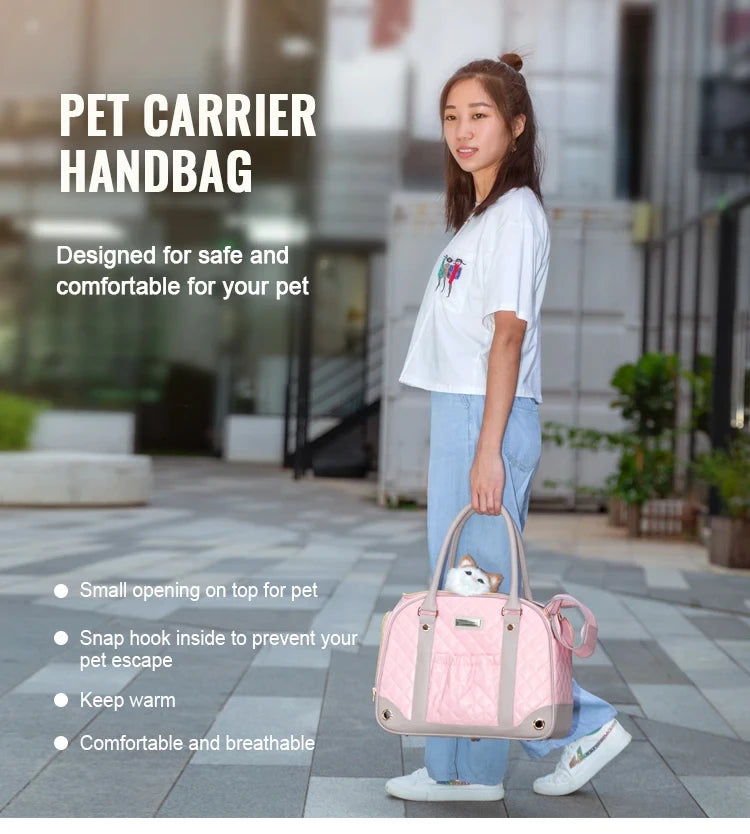 Woman holding a pink pet carrier handbag with features listed on a blurred urban background