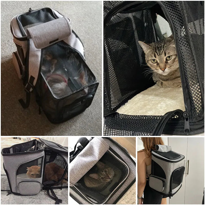 Pet carrier with a cat inside, shown from different angles.