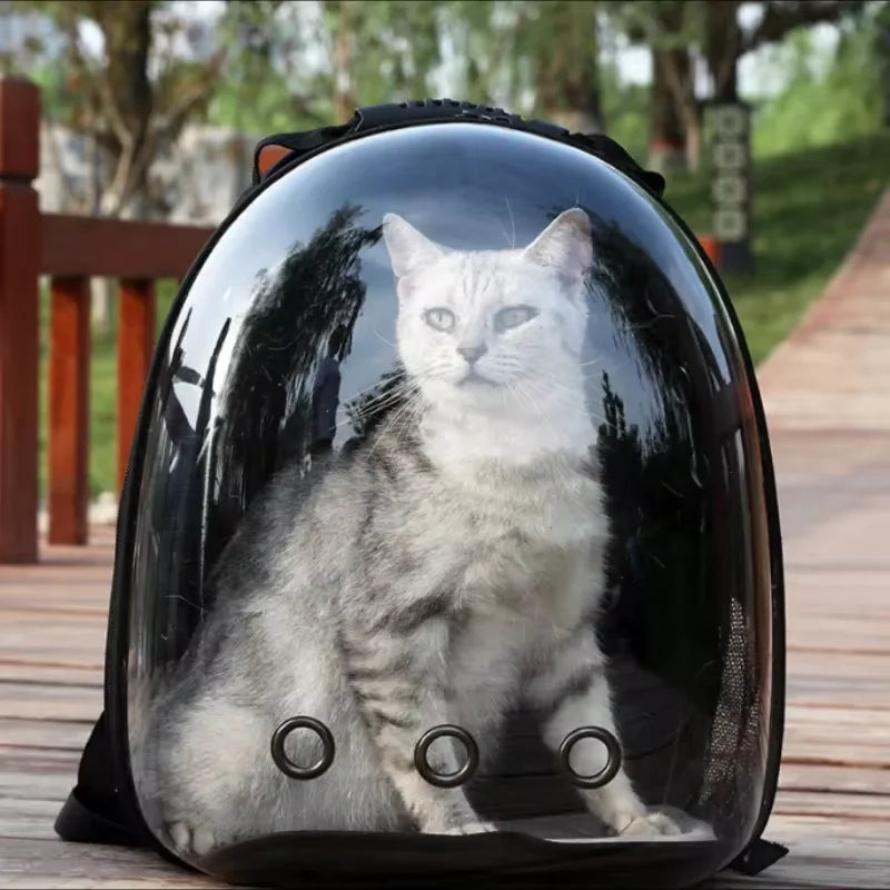 Pet carrier with a cat inside, resembling a space helmet, on a wooden deck.