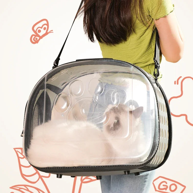 Person carrying a transparent pet carrier with a small animal inside on a white background