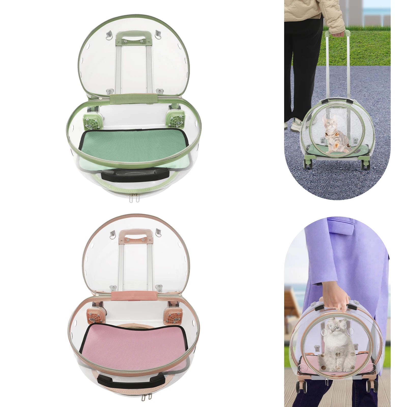 Pet carrier with transparent sides, showing a cat inside, on a white background.