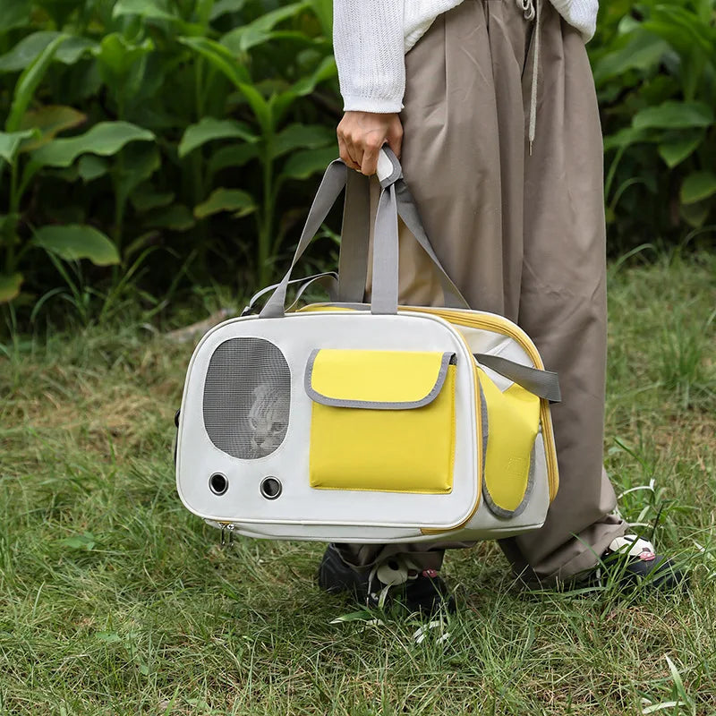 Person holding a pet carrier with a cat inside, standing on grass.