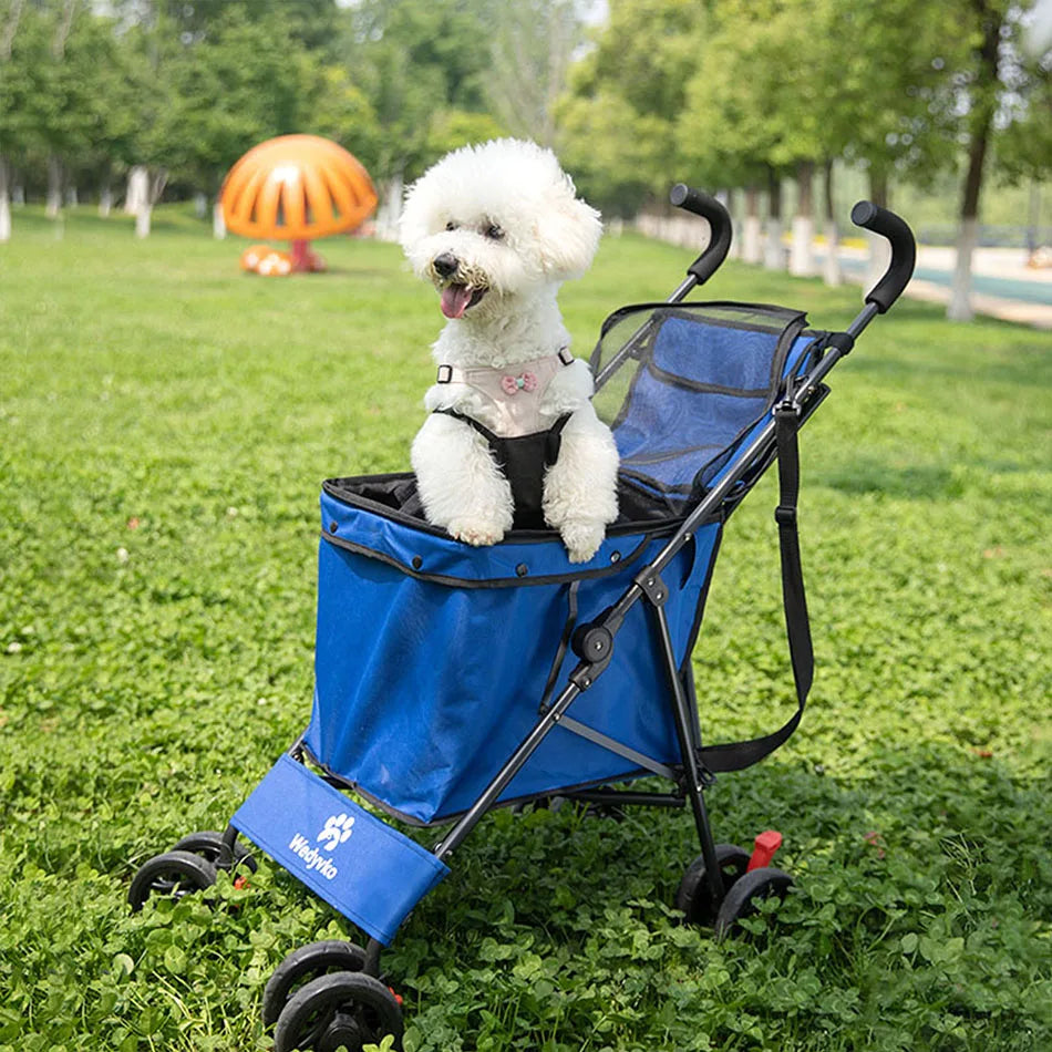 White dog in a blue pet stroller on grass with a colorful playground in the background
