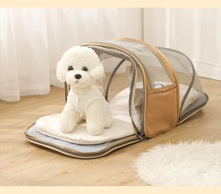 White dog inside a transparent pet carrier with beige exterior on a wooden floor.