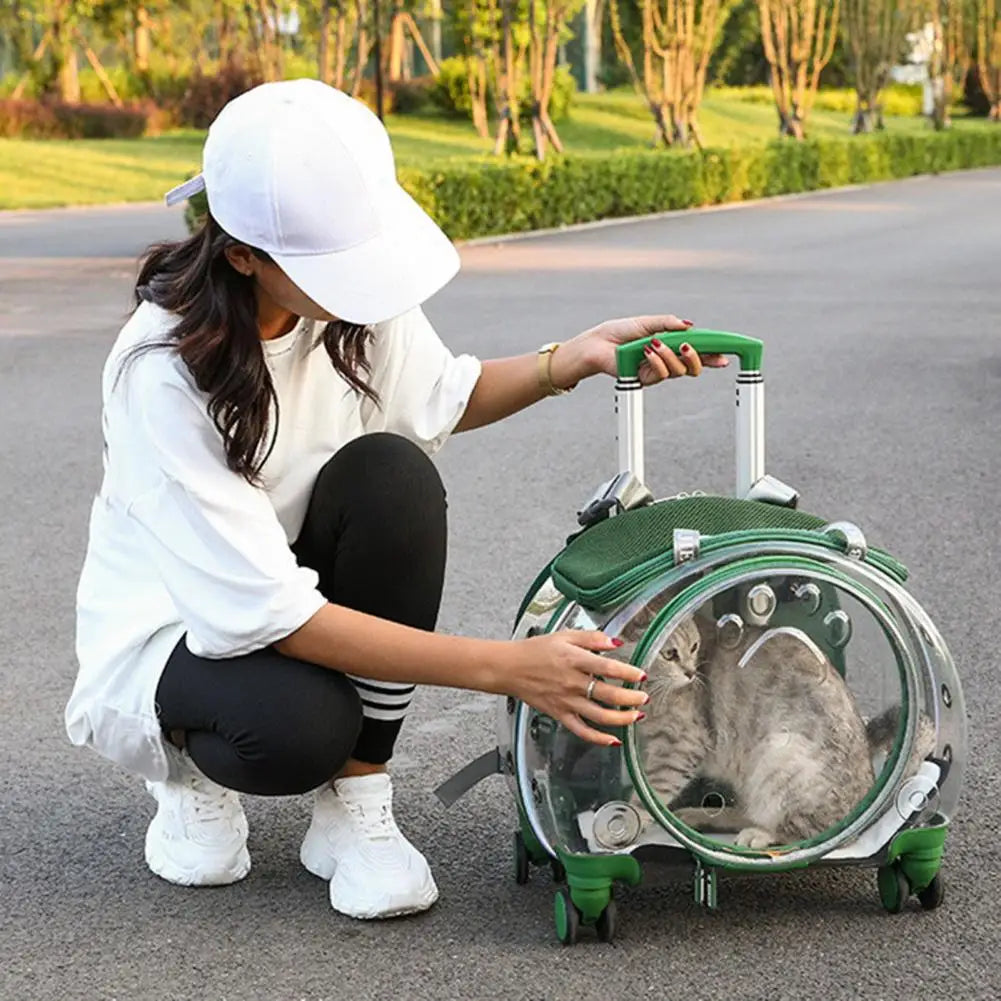 Person with a small pet in a transparent carrier with wheels outdoors.