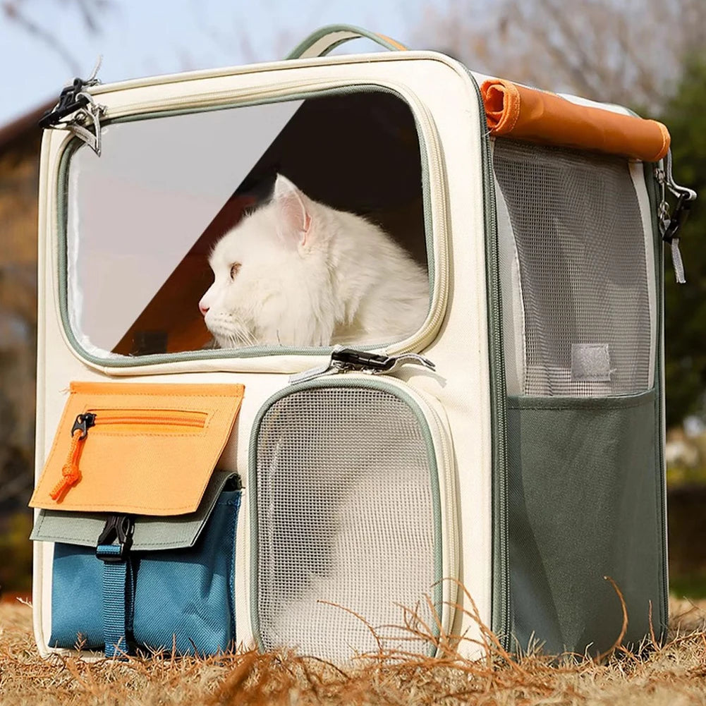 Pet carrier with a white cat peeking out, outdoors.