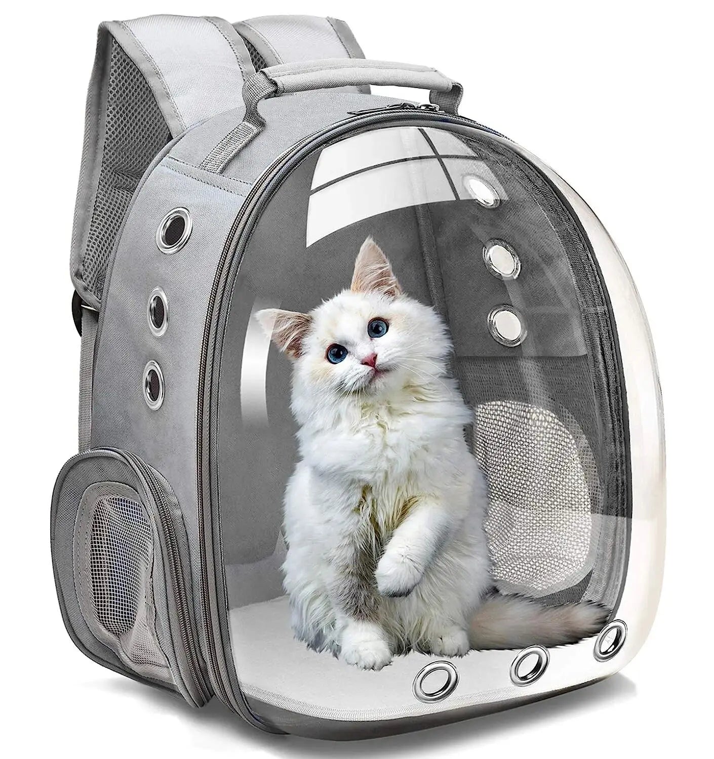 Cat inside a transparent pet carrier with gray exterior