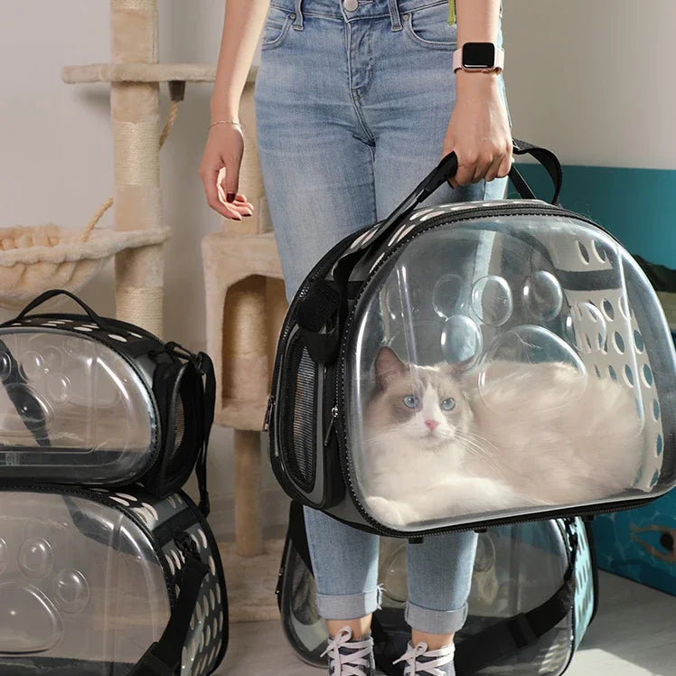 Person holding a transparent pet carrier with a cat inside, in a home setting.