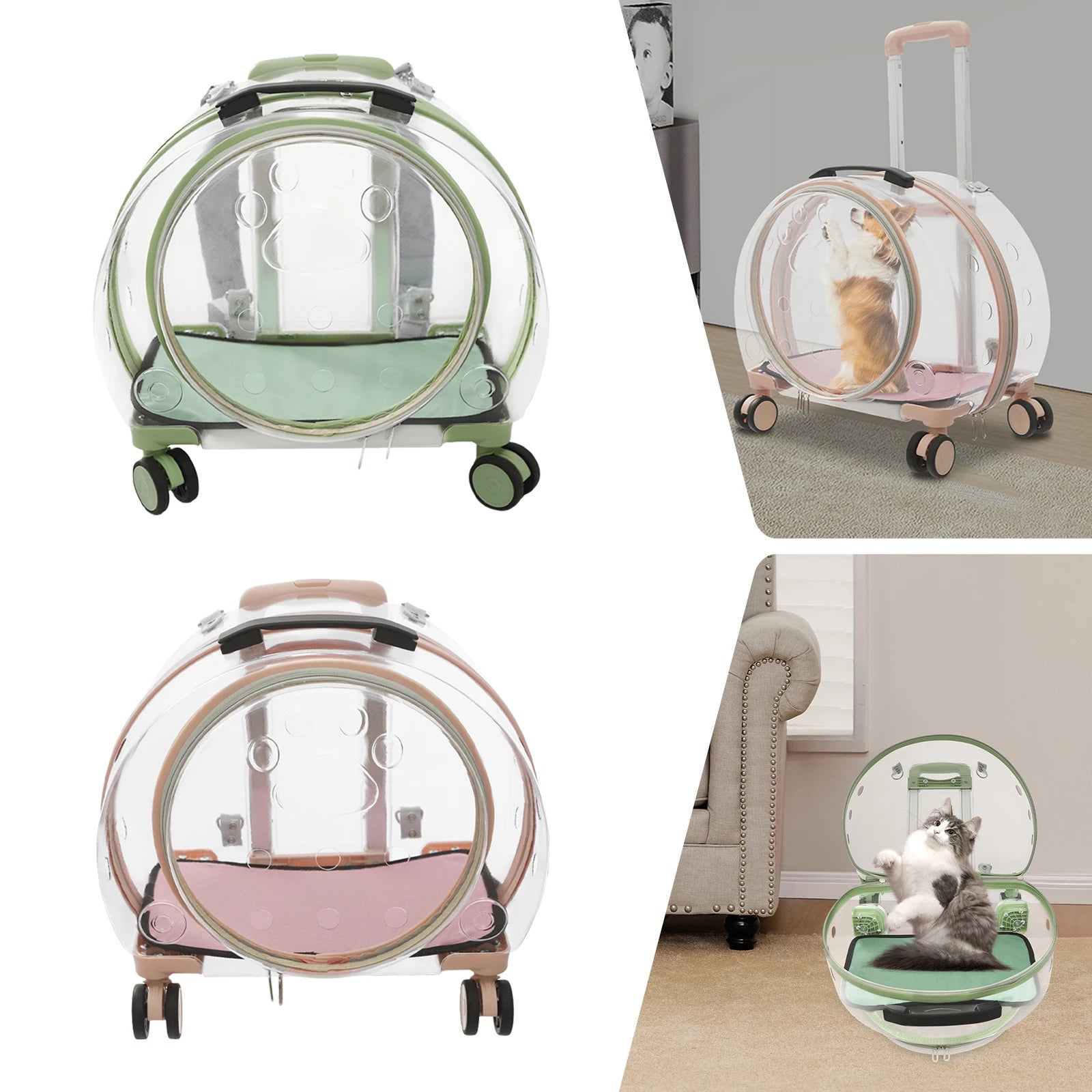Pet carrier with transparent dome design, shown in various angles and settings.