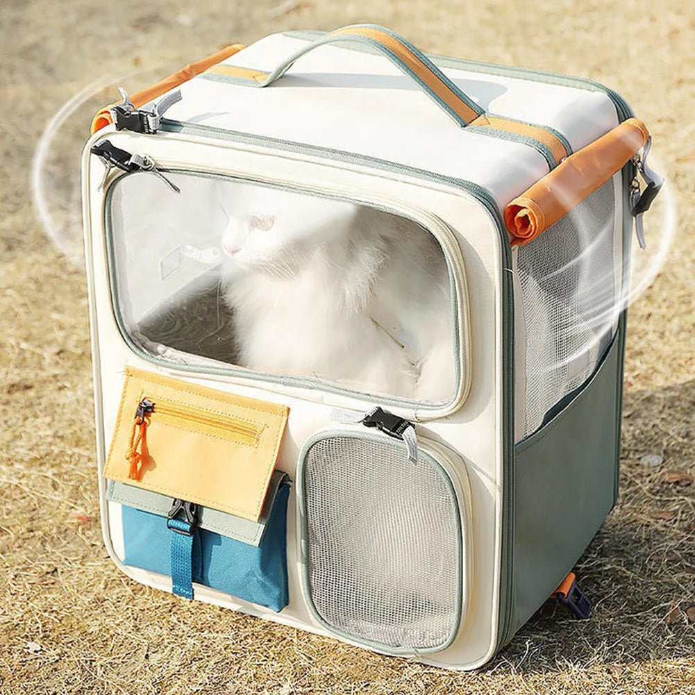 Pet carrier with a cat inside on a grassy background