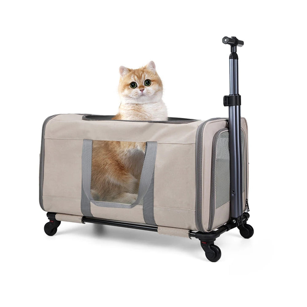 Pet carrier with a cat inside on a white background