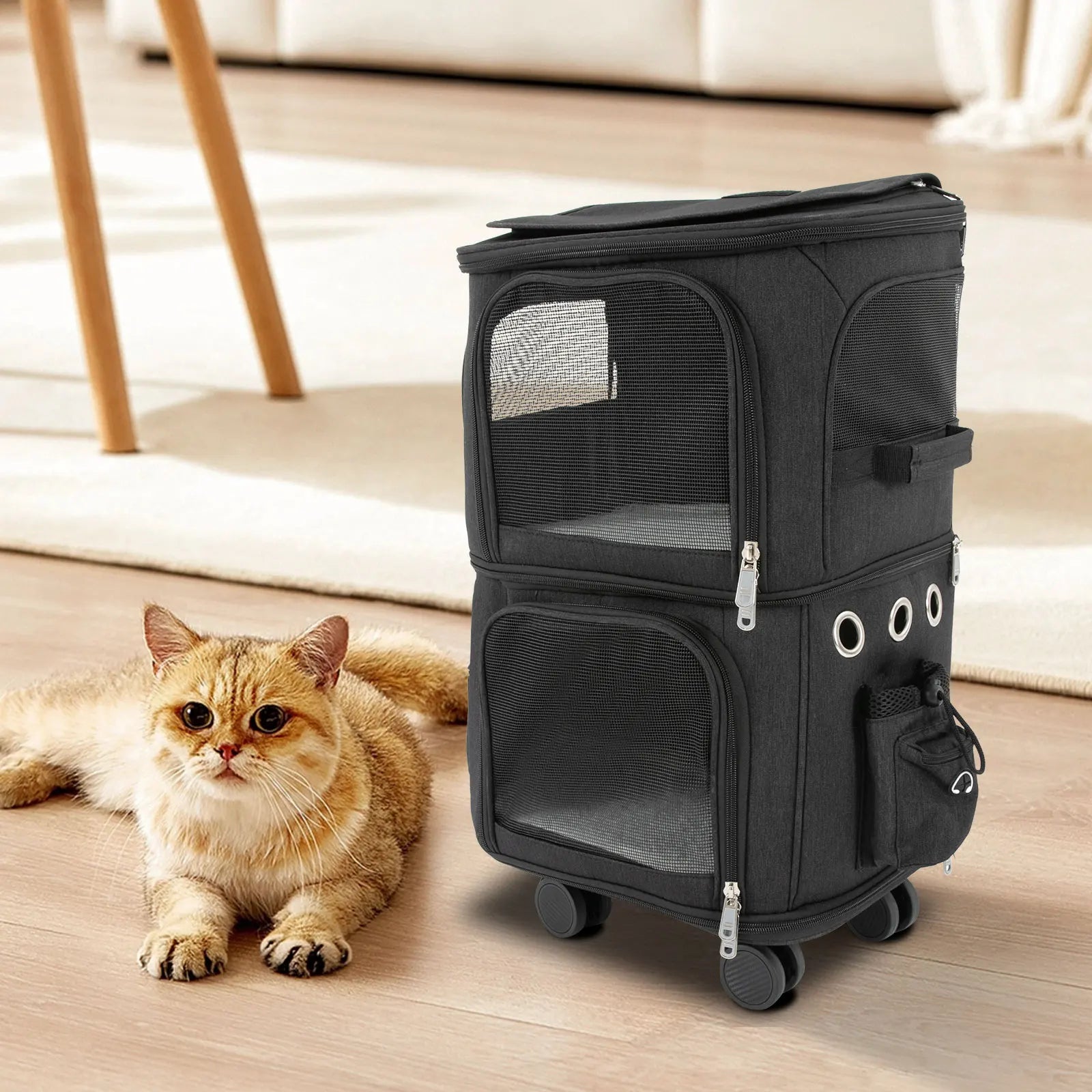 Black pet carrier with a cat lying on the floor next to it.