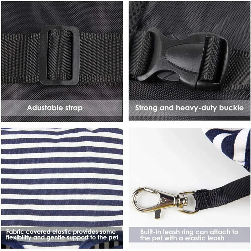 Collage of a dog harness with adjustable strap, strong buckle, fabric-covered elastic, and leash ring.