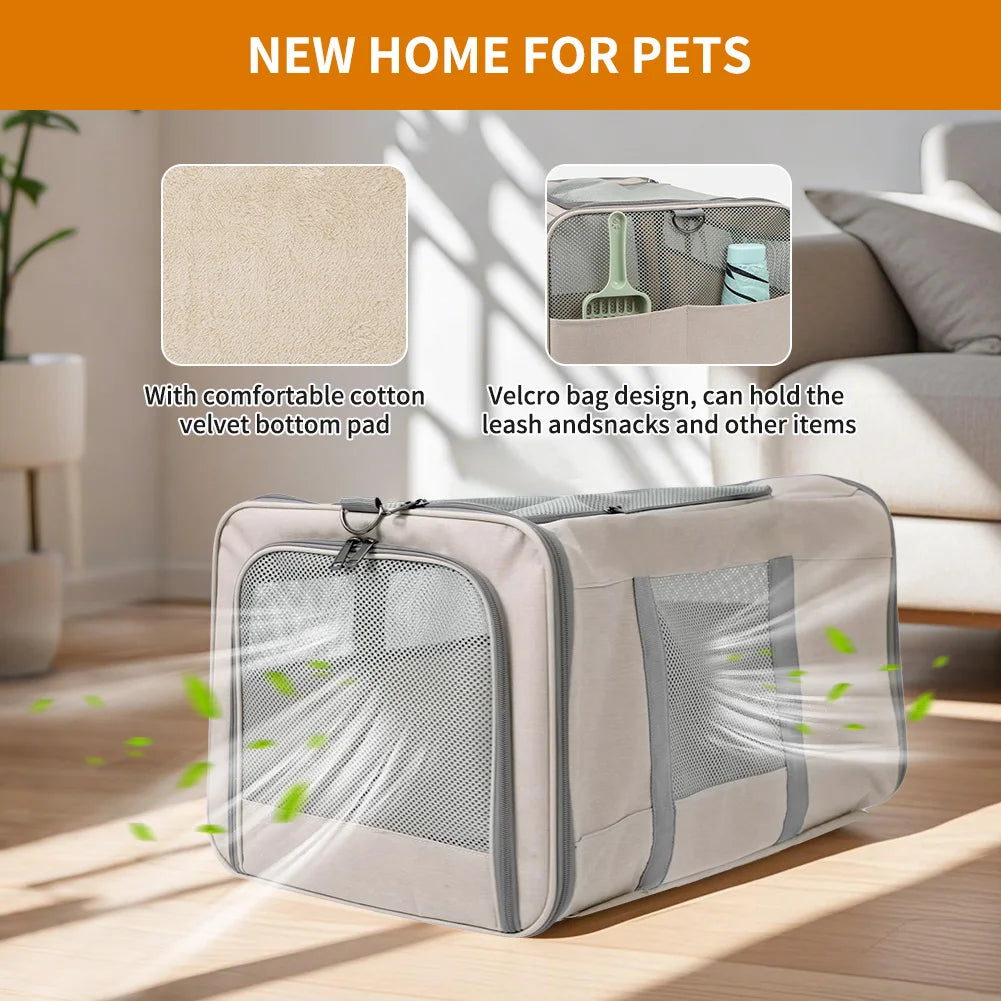 Pet carrier with features highlighted on a light background