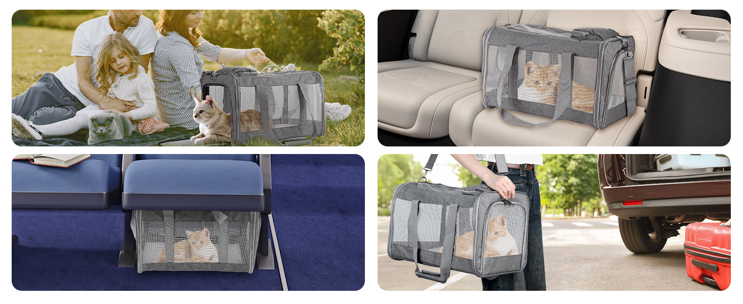 Pet carrier used in various settings including outdoors, inside a car, and on a couch.
